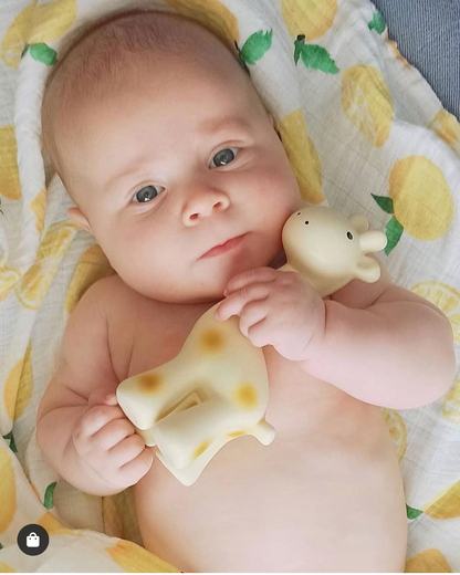 Natural Organic Rubber Teether, Rattle & Bath Toy