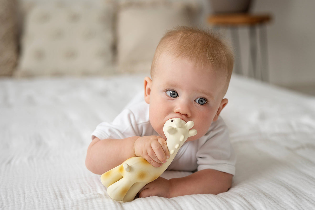 Natural Organic Rubber Teether, Rattle & Bath Toy