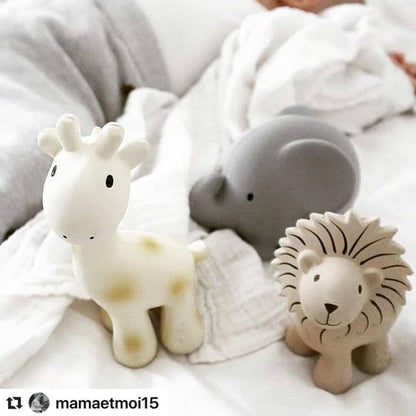 Natural Organic Rubber Teether, Rattle & Bath Toy